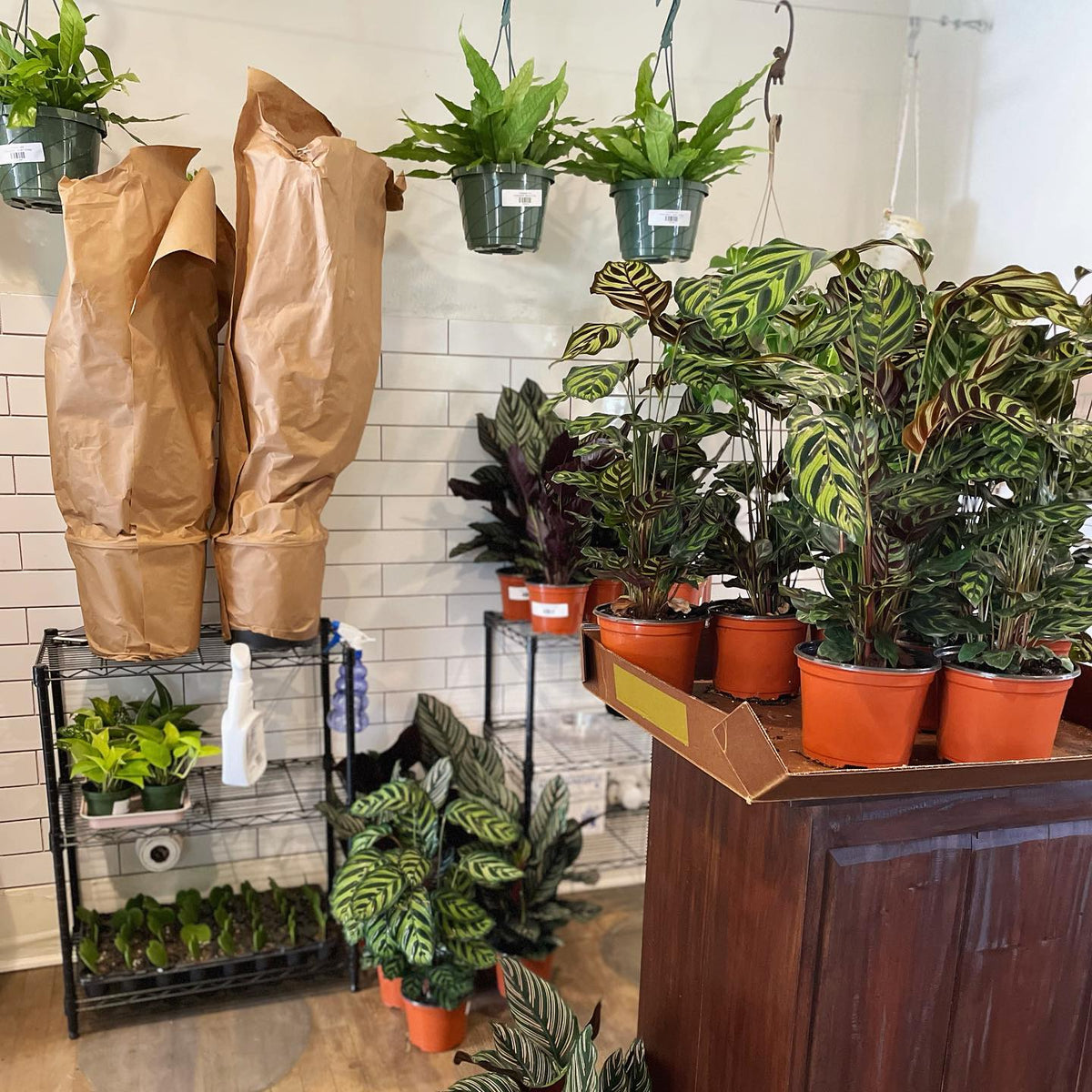 new arrivals Dirt Bag