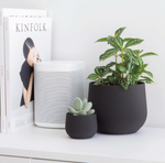 Load image into Gallery viewer, Juniper Planter
