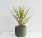 Load image into Gallery viewer, Pine Planter
