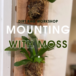 Mounting with Moss Workshop (June 2nd, 2024)