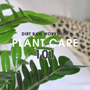 Plant Care Workshop (September 1, 2024)