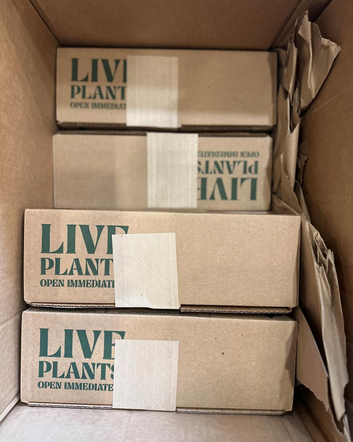 Happy Dirt Bag plant customers
