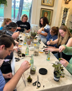 Dirt Bag Plant Party