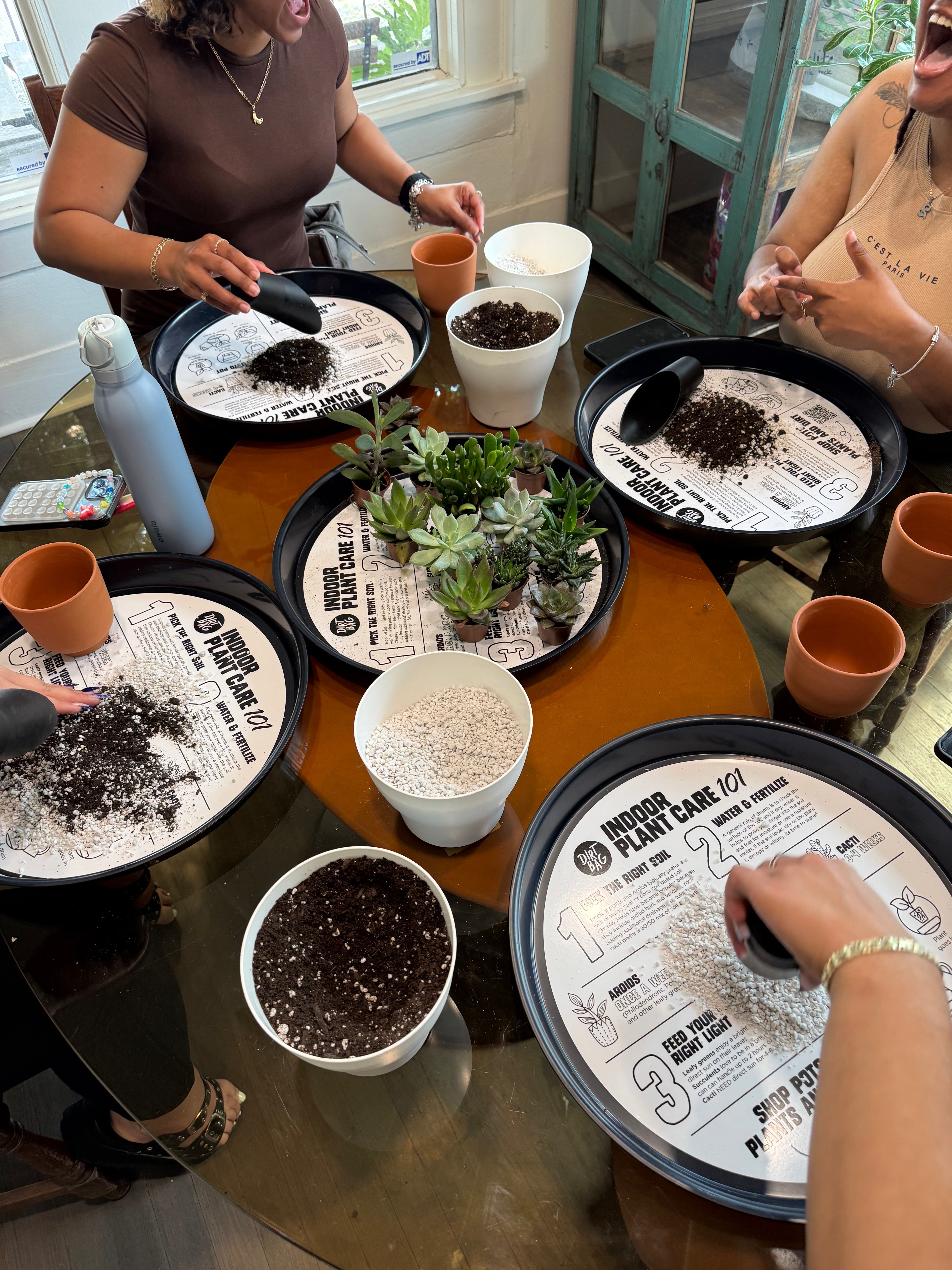 pot plant house party Book a Plant Party – Dirt Bag