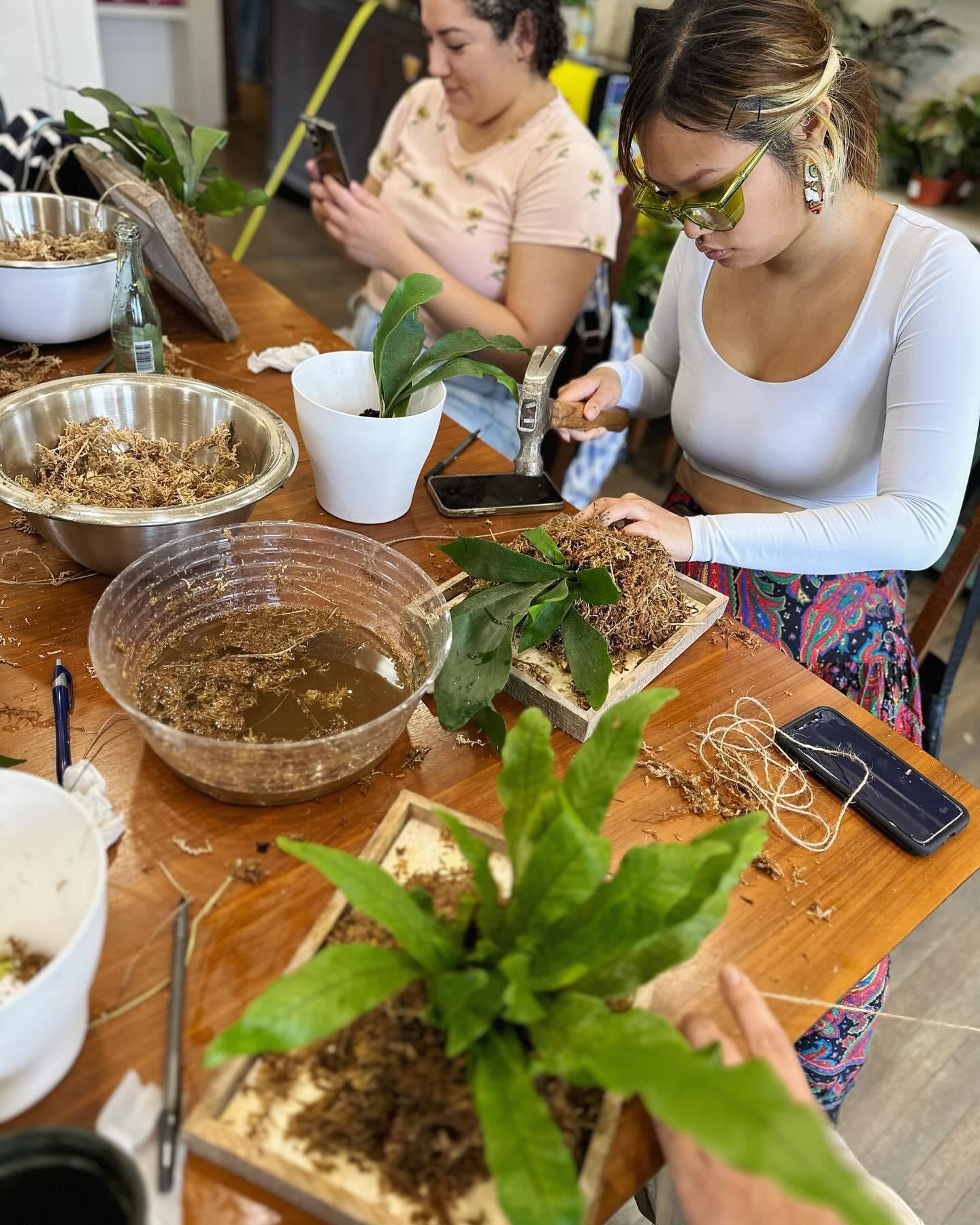 Dirt Bag_Plant Party