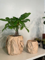 Load image into Gallery viewer, The Gas Brown Bag Planter at Dirt Bag

