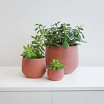 Load image into Gallery viewer, Juniper Planter
