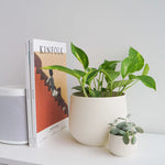 Load image into Gallery viewer, Juniper Planter
